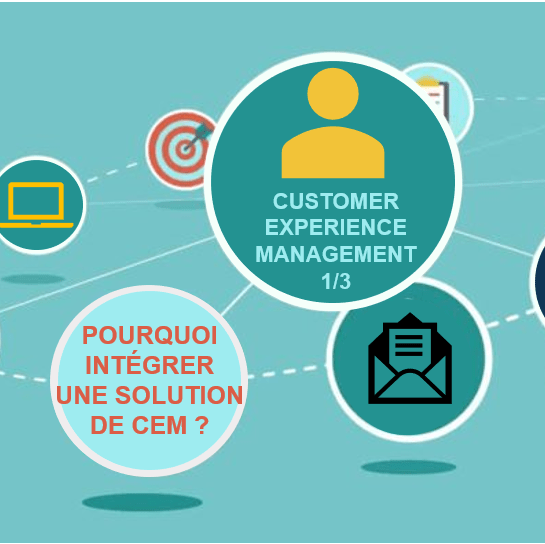 Pourquoi intégrer une solution de CEM dans son écosystème digital ...